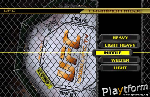 Ultimate Fighting Championship: Throwdown (GameCube)