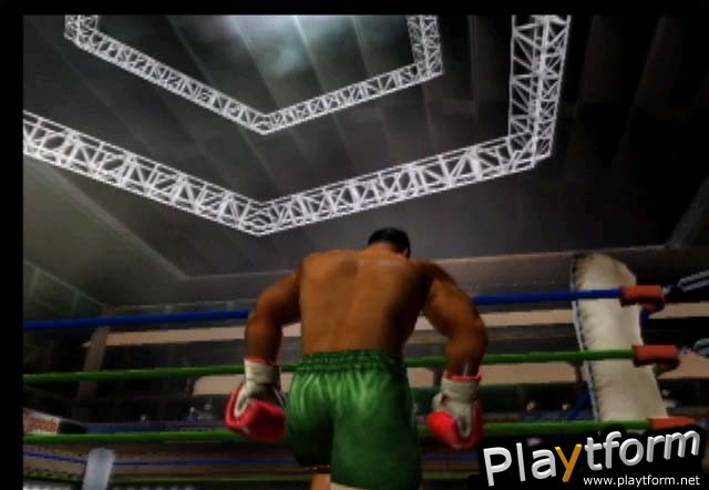 Mike Tyson Heavyweight Boxing (PlayStation 2)