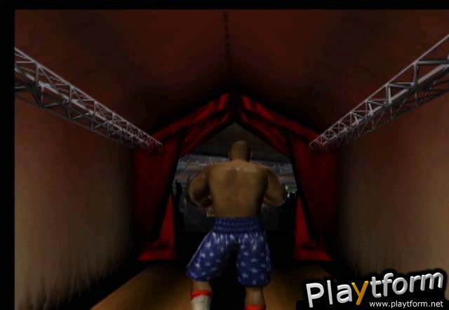 Mike Tyson Heavyweight Boxing (PlayStation 2)