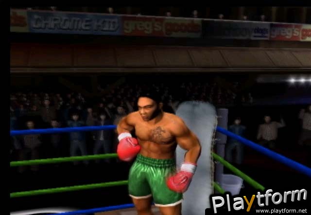 Mike Tyson Heavyweight Boxing (PlayStation 2)