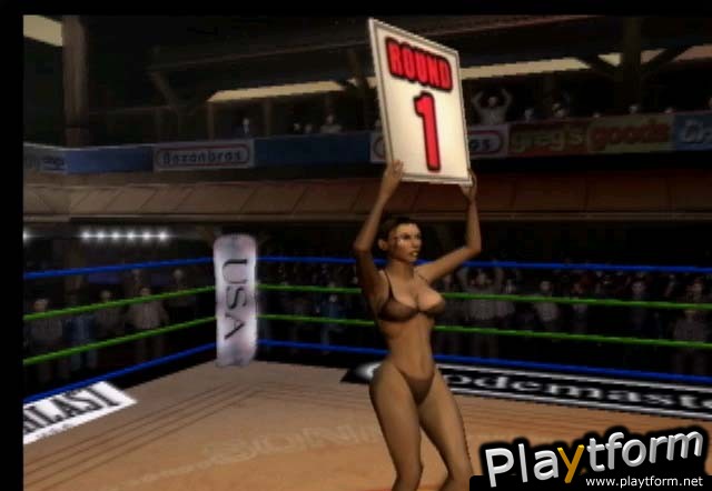 Mike Tyson Heavyweight Boxing (PlayStation 2)