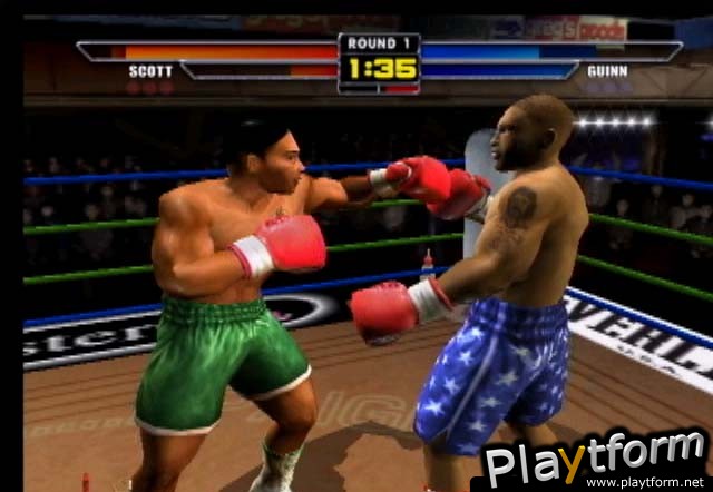 Mike Tyson Heavyweight Boxing (PlayStation 2)