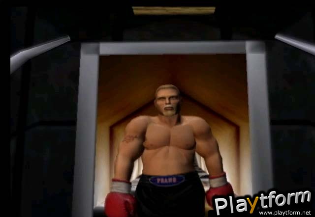 Mike Tyson Heavyweight Boxing (PlayStation 2)