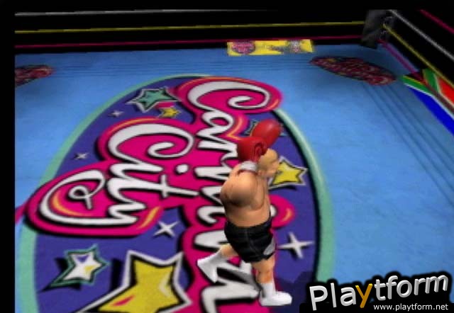 Mike Tyson Heavyweight Boxing (PlayStation 2)