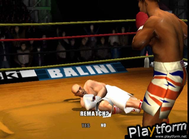 Mike Tyson Heavyweight Boxing (PlayStation 2)