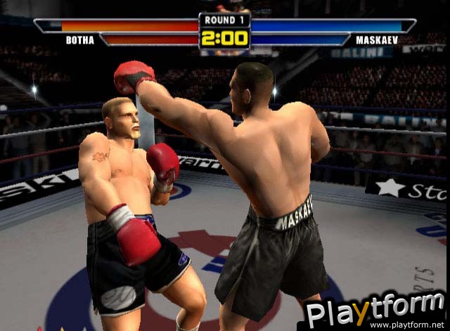 Mike Tyson Heavyweight Boxing (PlayStation 2)