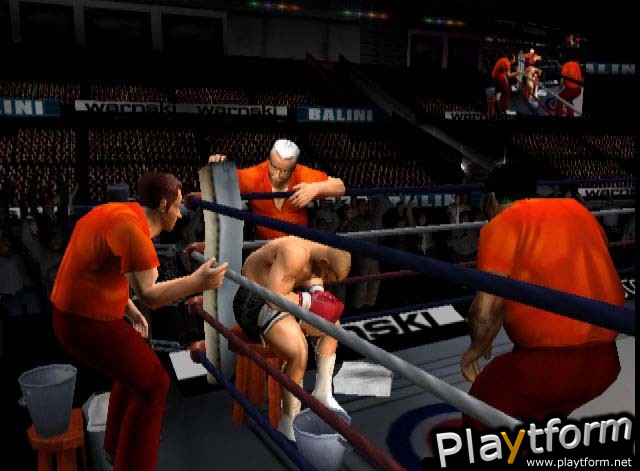 Mike Tyson Heavyweight Boxing (PlayStation 2)