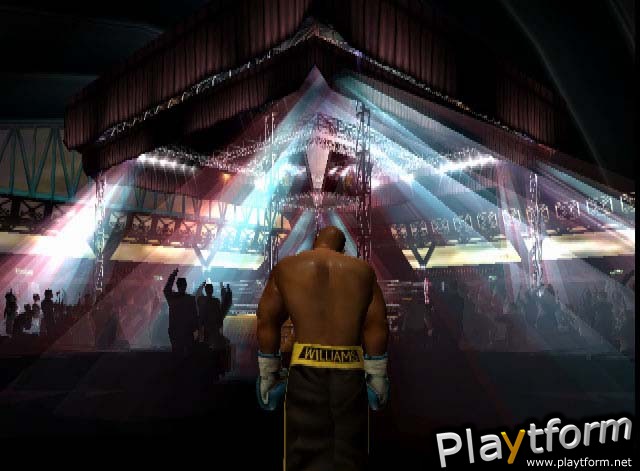 Mike Tyson Heavyweight Boxing (PlayStation 2)