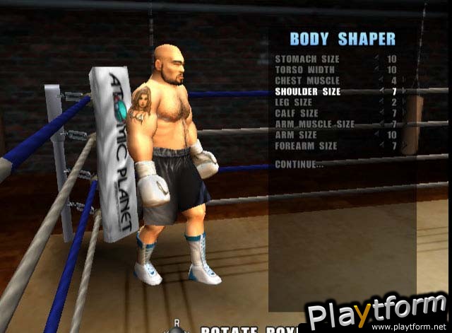 Mike Tyson Heavyweight Boxing (PlayStation 2)