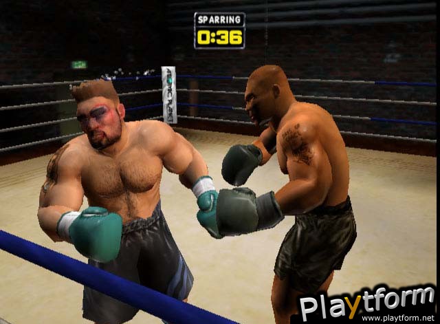 Mike Tyson Heavyweight Boxing (PlayStation 2)