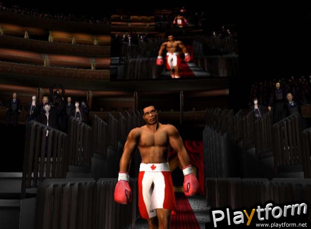 Mike Tyson Heavyweight Boxing (PlayStation 2)