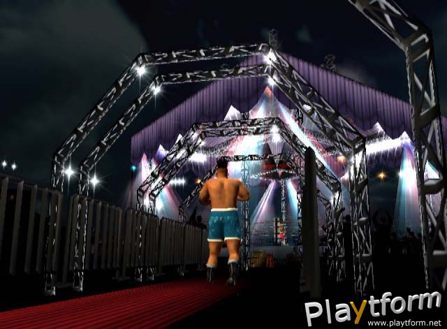 Mike Tyson Heavyweight Boxing (PlayStation 2)