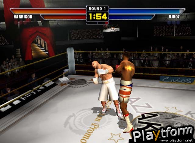 Mike Tyson Heavyweight Boxing (PlayStation 2)