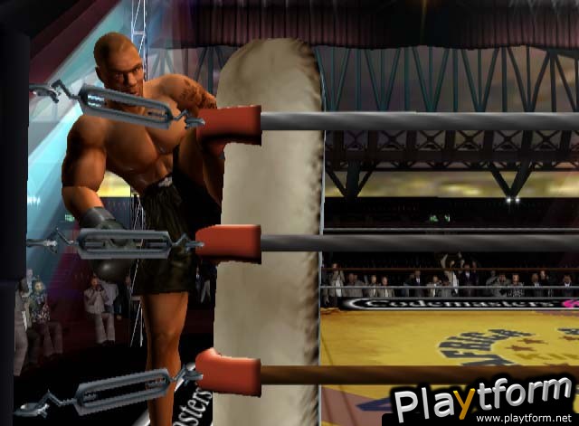 Mike Tyson Heavyweight Boxing (PlayStation 2)