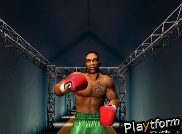 Mike Tyson Heavyweight Boxing (PlayStation 2)