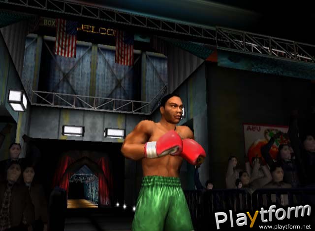 Mike Tyson Heavyweight Boxing (PlayStation 2)