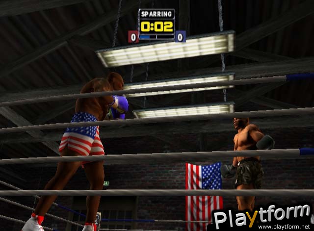 Mike Tyson Heavyweight Boxing (PlayStation 2)