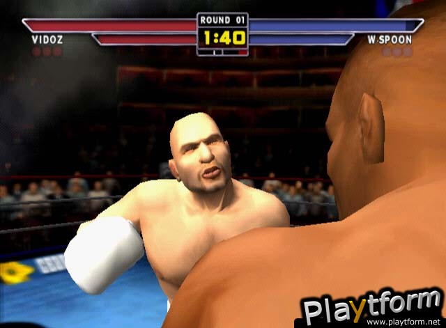 Mike Tyson Heavyweight Boxing (PlayStation 2)