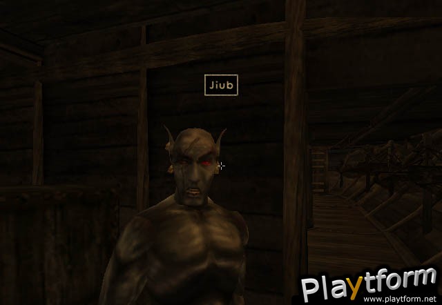 The Elder Scrolls III: Morrowind (Xbox)