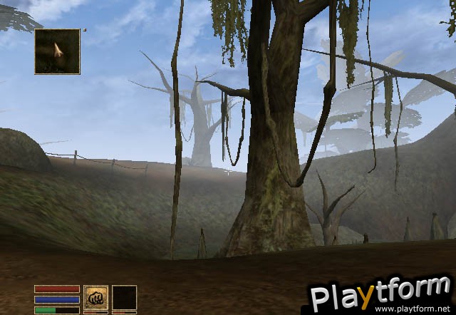 The Elder Scrolls III: Morrowind (Xbox)