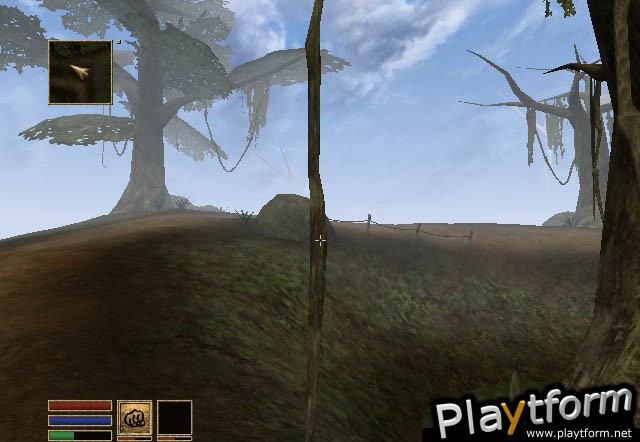 The Elder Scrolls III: Morrowind (Xbox)