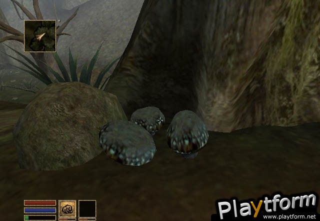 The Elder Scrolls III: Morrowind (Xbox)