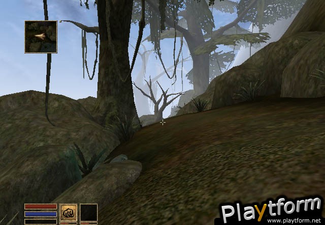 The Elder Scrolls III: Morrowind (Xbox)