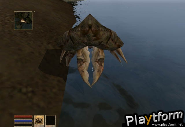 The Elder Scrolls III: Morrowind (Xbox)