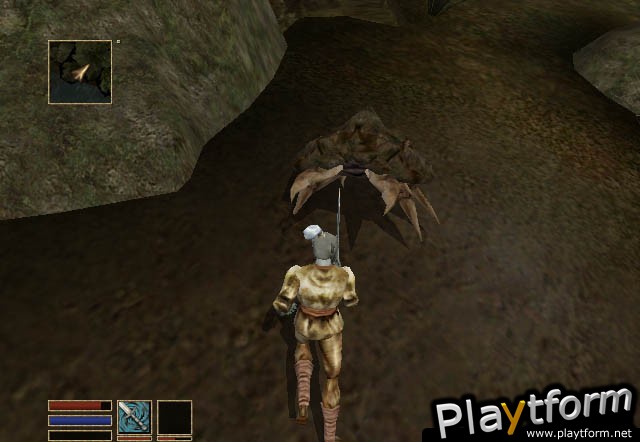 The Elder Scrolls III: Morrowind (Xbox)