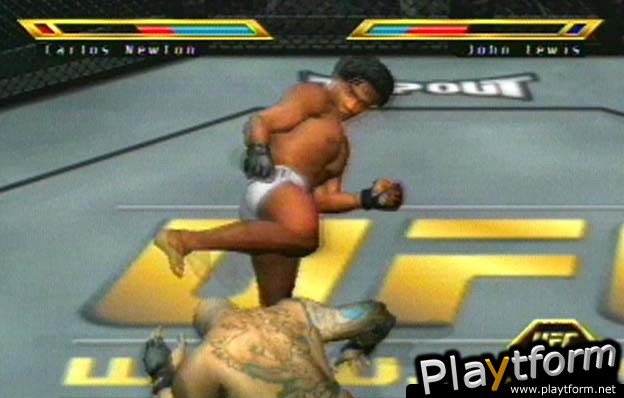 Ultimate Fighting Championship: Throwdown (PlayStation 2)