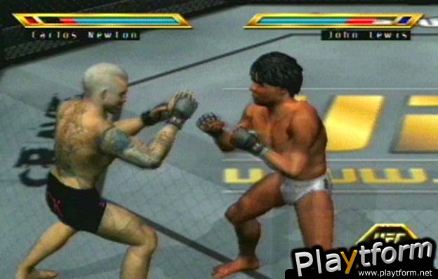 Ultimate Fighting Championship: Throwdown (PlayStation 2)