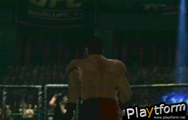 Ultimate Fighting Championship: Throwdown (PlayStation 2)