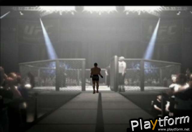 Ultimate Fighting Championship: Throwdown (PlayStation 2)