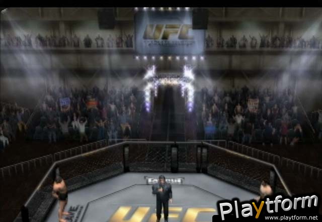 Ultimate Fighting Championship: Throwdown (PlayStation 2)