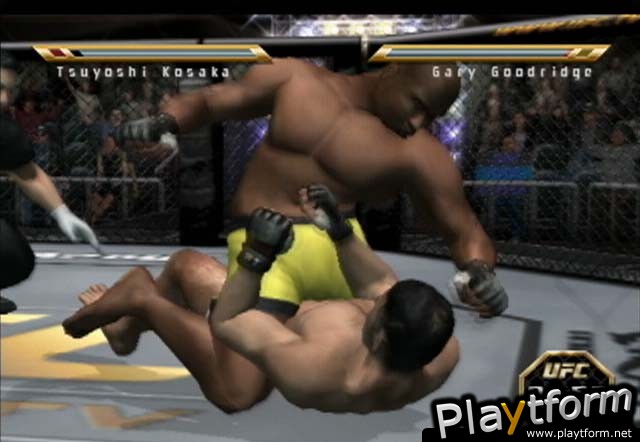 Ultimate Fighting Championship: Throwdown (PlayStation 2)