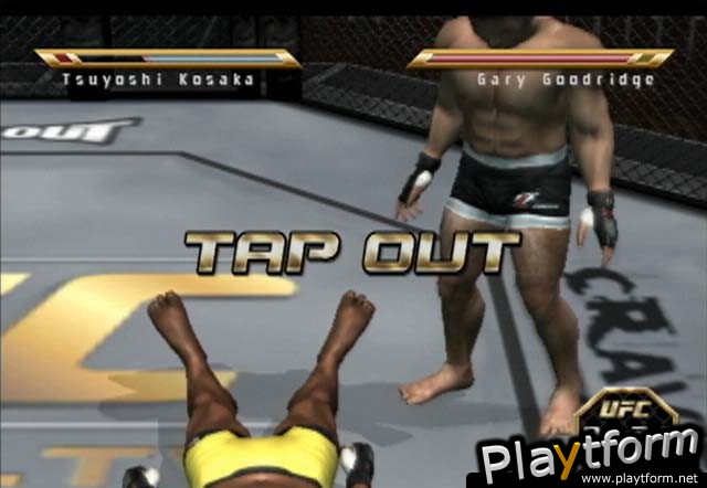 Ultimate Fighting Championship: Throwdown (PlayStation 2)