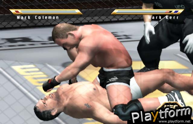 Ultimate Fighting Championship: Throwdown (PlayStation 2)