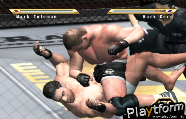 Ultimate Fighting Championship: Throwdown (PlayStation 2)