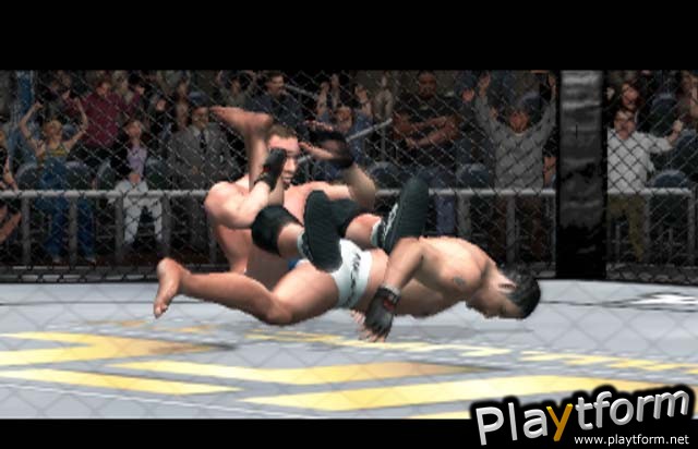 Ultimate Fighting Championship: Throwdown (PlayStation 2)