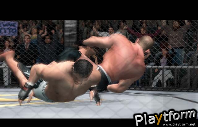 Ultimate Fighting Championship: Throwdown (PlayStation 2)