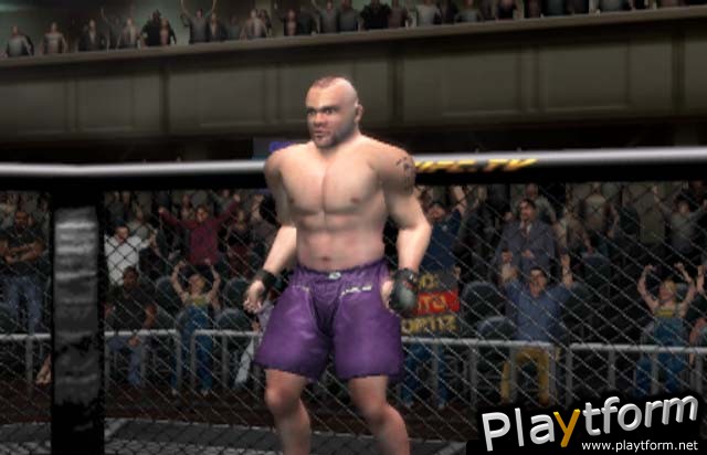 Ultimate Fighting Championship: Throwdown (PlayStation 2)