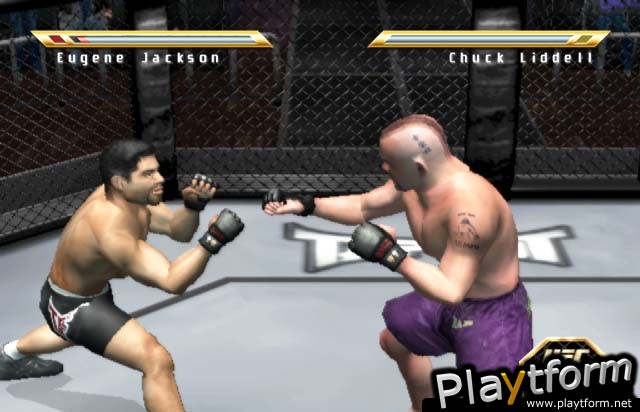 Ultimate Fighting Championship: Throwdown (PlayStation 2)