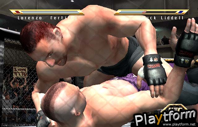 Ultimate Fighting Championship: Throwdown (PlayStation 2)