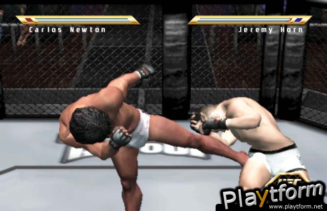 Ultimate Fighting Championship: Throwdown (PlayStation 2)