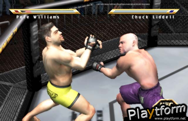 Ultimate Fighting Championship: Throwdown (PlayStation 2)