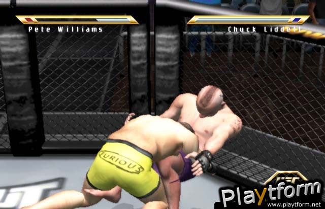 Ultimate Fighting Championship: Throwdown (PlayStation 2)