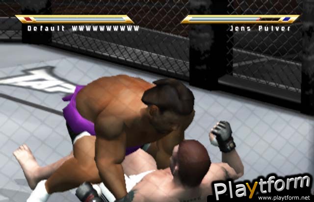 Ultimate Fighting Championship: Throwdown (PlayStation 2)