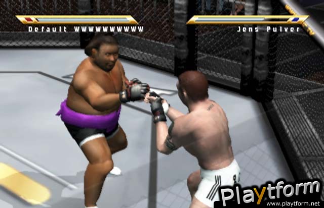 Ultimate Fighting Championship: Throwdown (PlayStation 2)