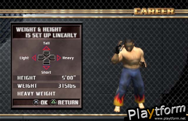 Ultimate Fighting Championship: Throwdown (PlayStation 2)