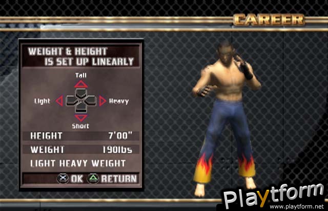 Ultimate Fighting Championship: Throwdown (PlayStation 2)